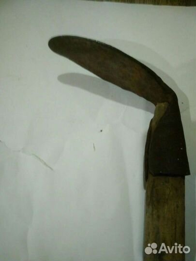 Сапожная лапка