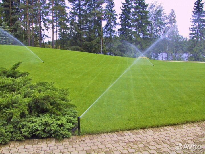 Рулонный газон, укладка рулонного газона