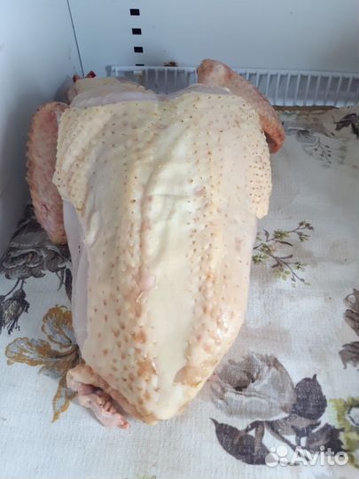 Куриный суповой набор