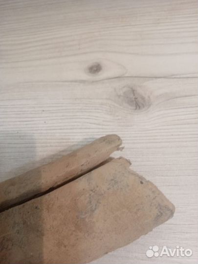 Продам бивень мамонта