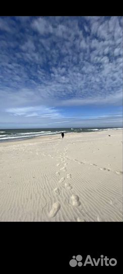 Тур в Калининград до 4-х гостей 28-30 августа