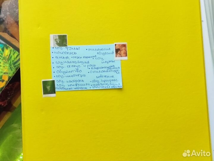 Конспекты егэ (обществознание)