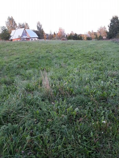 Участок 15 сот. (ИЖС)