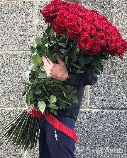 Розы гиганты 140 150 160 170 180 200