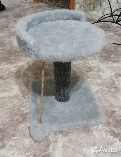 Когтеточка