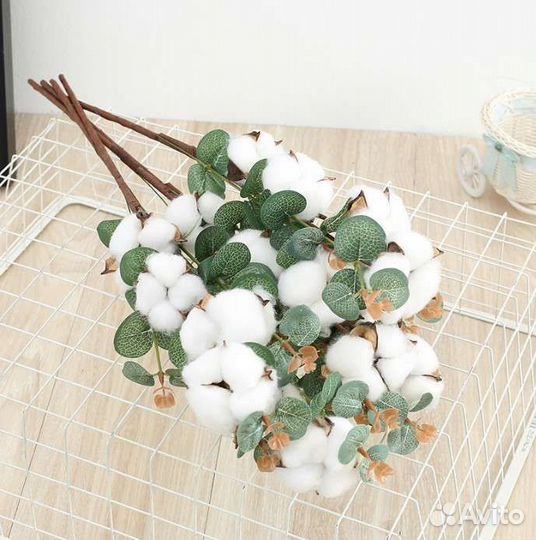 Сухоцветы Хлопок на веточке Премиум качество