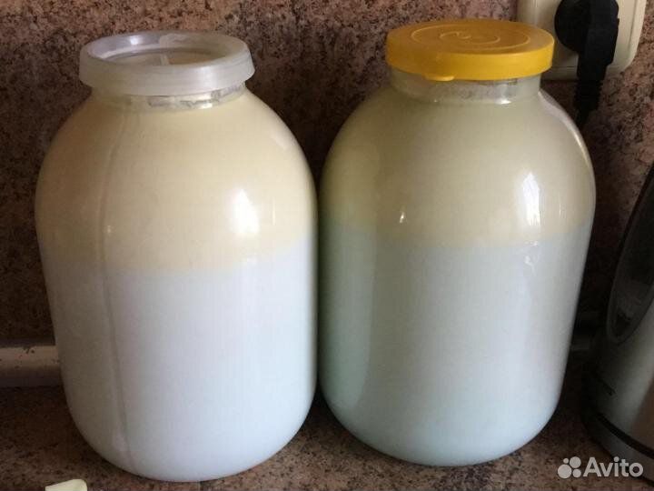 Деревенская молочная продукция и Полуфабрикаты