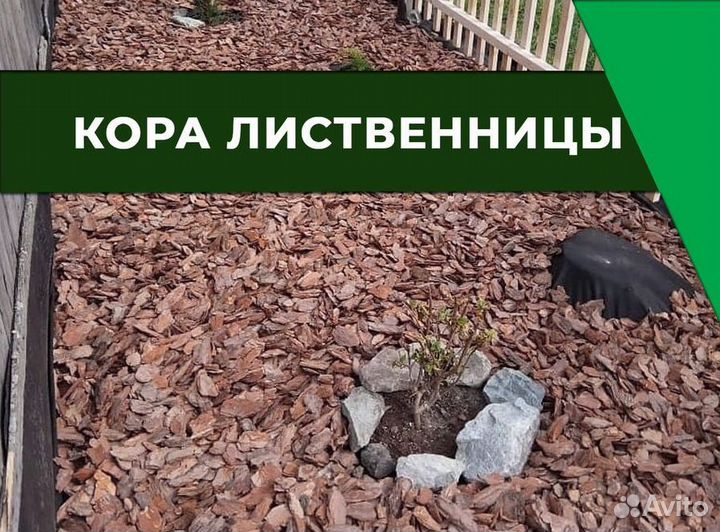 Кора лиственницы 60 л