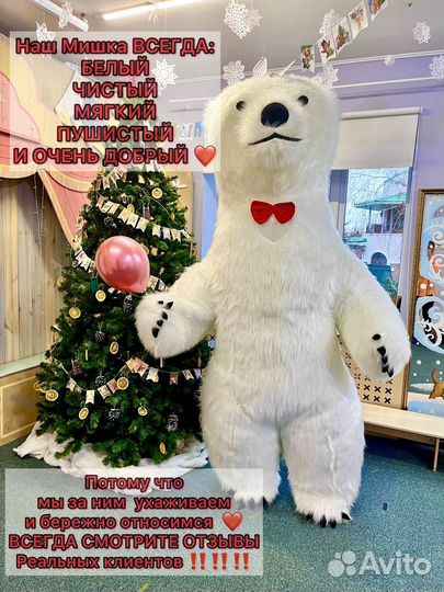 Белый Мишка Медведь, Поздравления с Днем Рождения