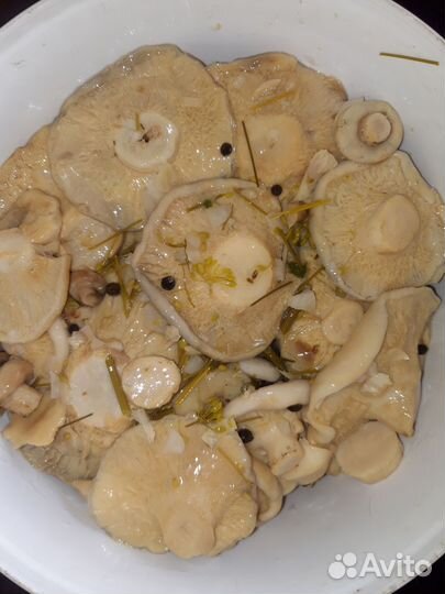 Грибы грузди соленые