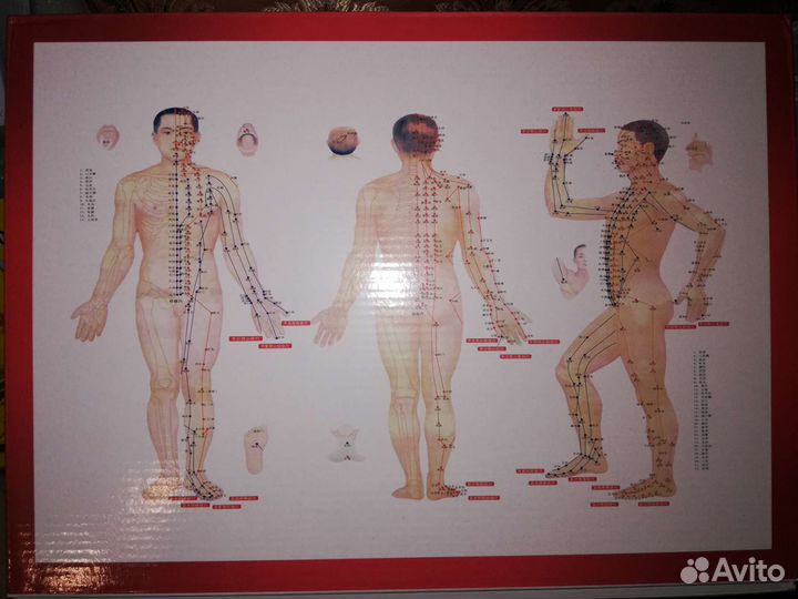 Вакуумные банки для хиджамы 32 штуки