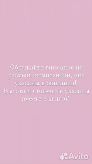 Букет из стабилизированных цветов сухоцветов