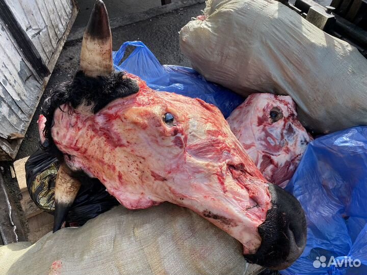 Головы говяжьи охлажденка без кожи / Беларусь