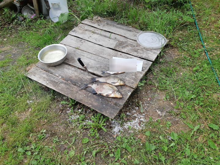 Дом 40 м² на участке 12 сот.