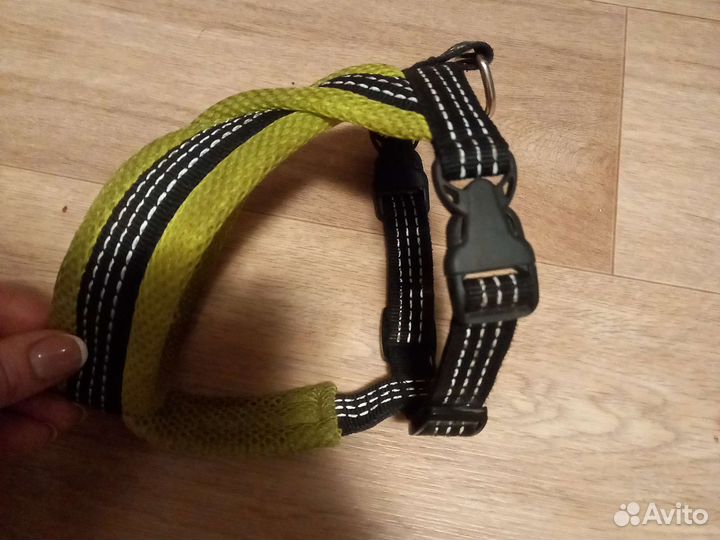 Шлейка для собак