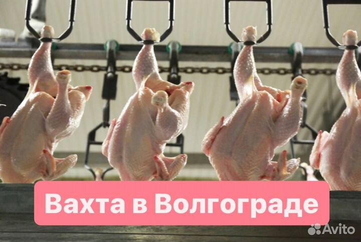 Разнорабочие вахтой.Купим билет