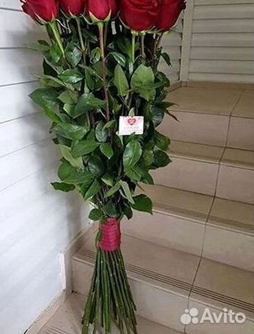 Розы Цветы Букеты 25 51 151 201 101 301 501 опт