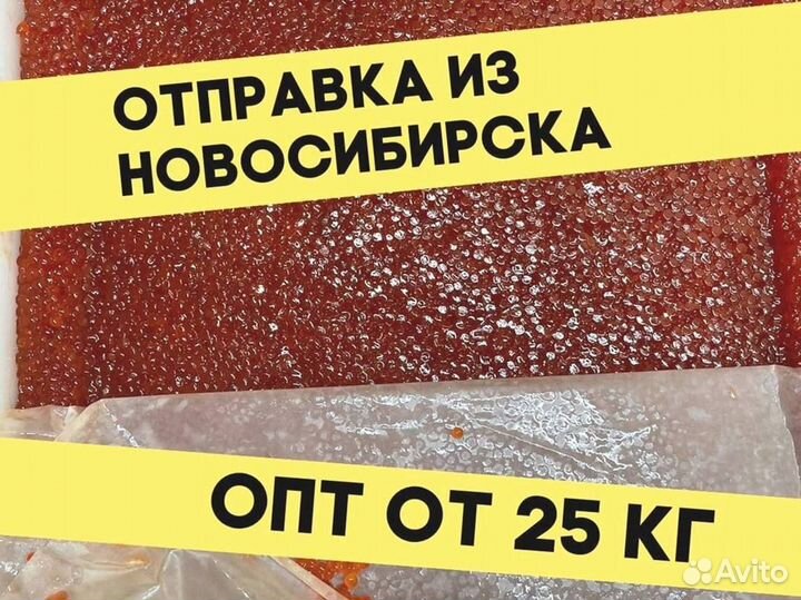 Красная икра кеты, июнь 2023