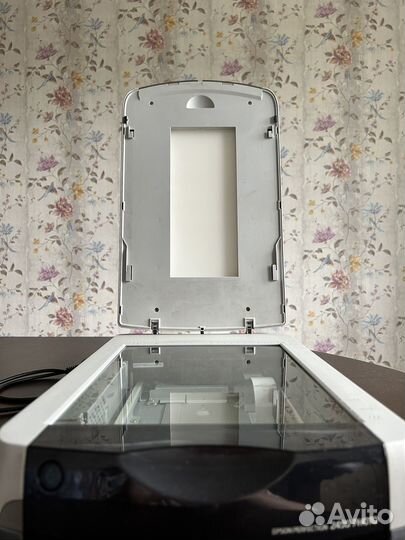 Сканер Epson 2450 photo (средний формат, win10)