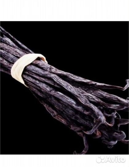 Yodeyma Парфюмерная вода женская yodeyma temis