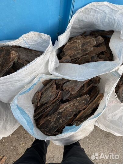 Сосновая кора