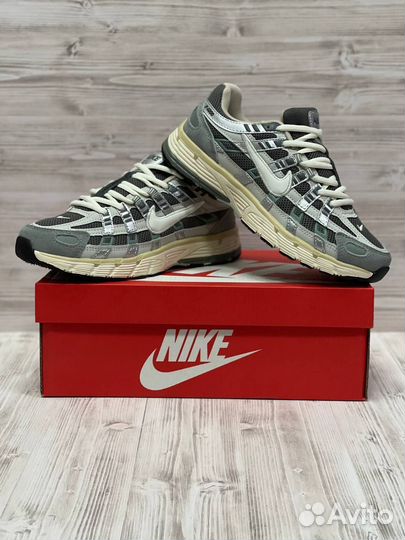 Кроссовки Nike p6000