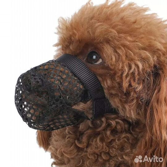 Намордник для маленькой и средней собаки
