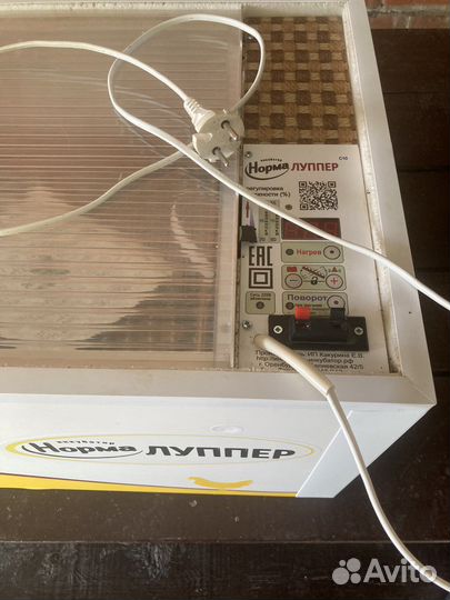 Инкубатор для яиц автоматический бу