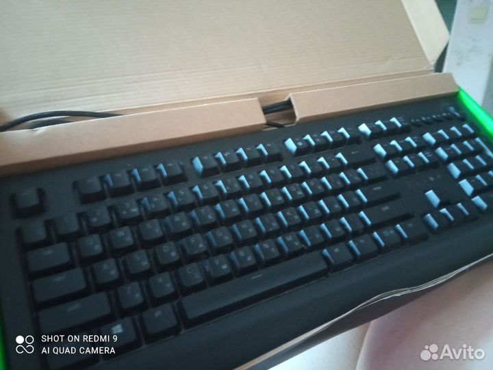 Razer cynosa v2
