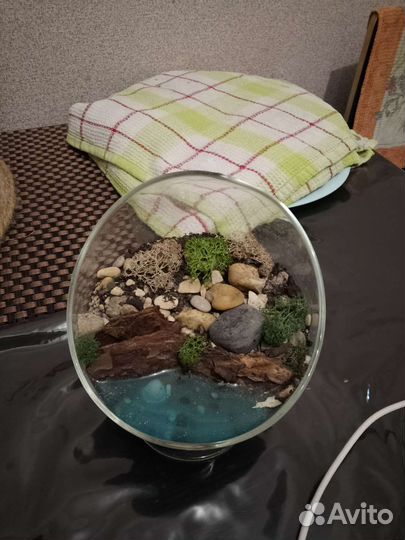 Флорариум с стабилизированным мхом