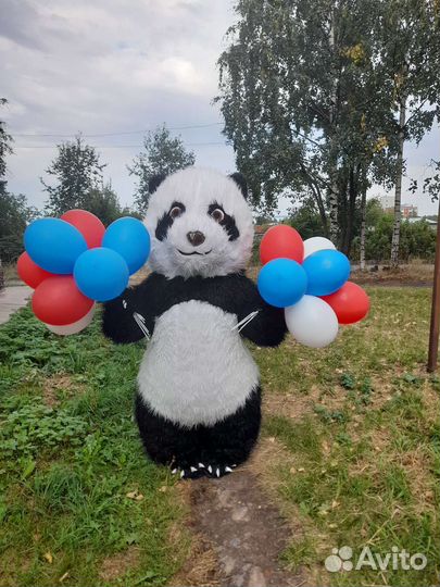 Белый Мишка