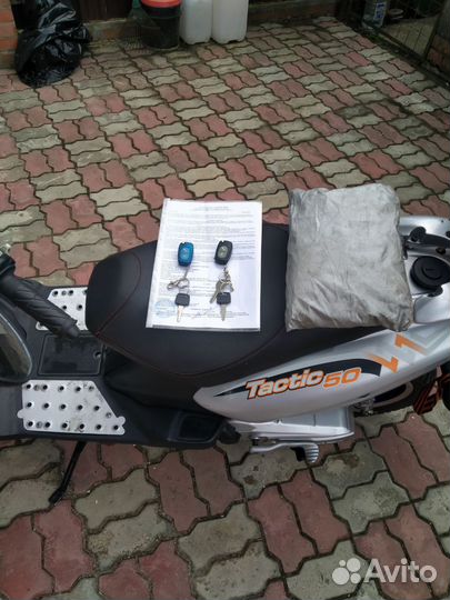 Stels Tactic 50