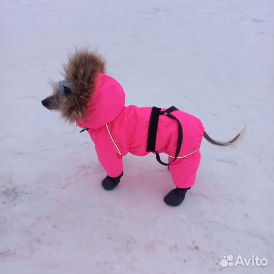 Пошив для собак