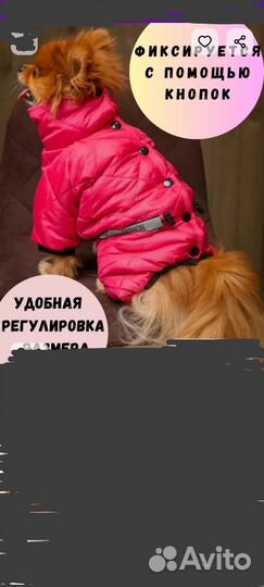 Комбинезон для мини собак