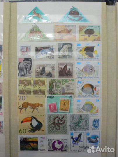 Марки про Животных (70 шт) +(18 шт про природу)