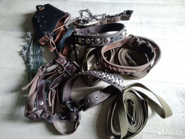 Ошейники и поводки для собак