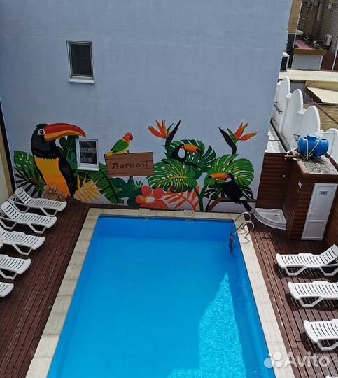 Роспись стен Сочи. Граффити. Художник по росписи