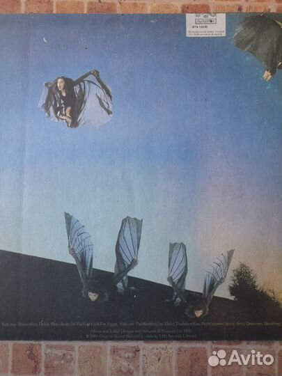 Kate bush never for ever