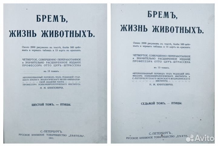 Брем А.Э. Жизнь животных. Птицы. том 6-7, 1911