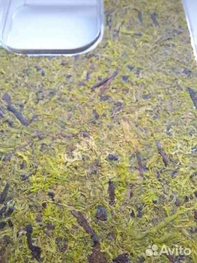 Чехол на iPhone 13 pro, 13 pro max