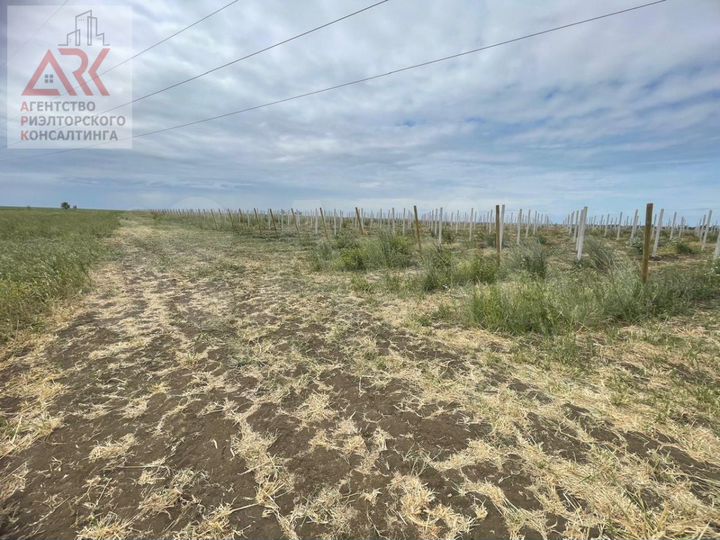 Участок 8 га (СНТ, ДНП)