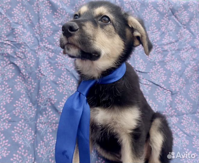 Вы тоже об этом думаете