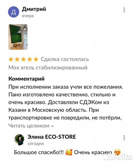 Логотип панно из мха в раме