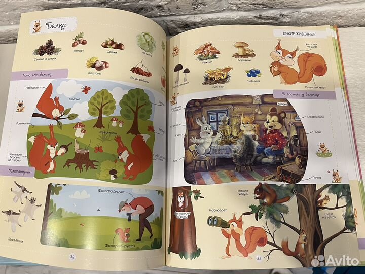 Очень большая книга о животных