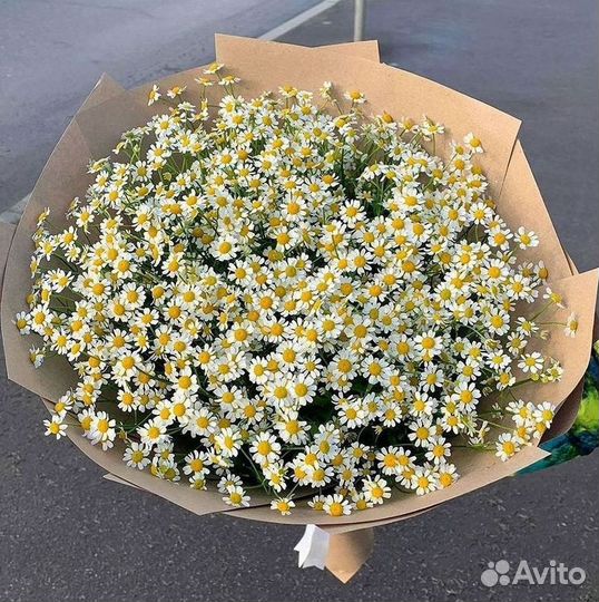 Ромашки Букет из ромашек доставка