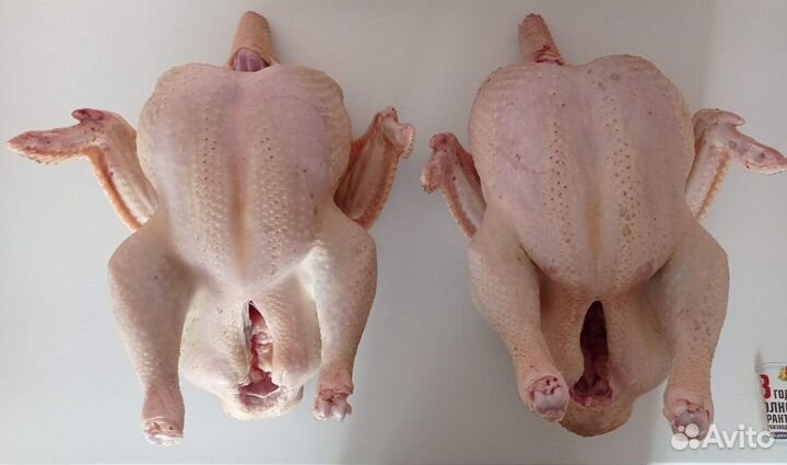 Домашнее мясо индейки и кур