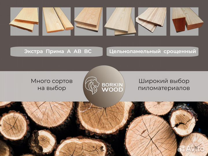 Вагонка ангарская сосна