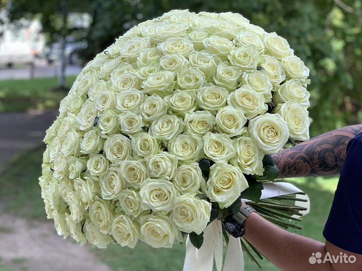 25 роз Букеты 15 25 35 51 101 Роза Доставка цветов