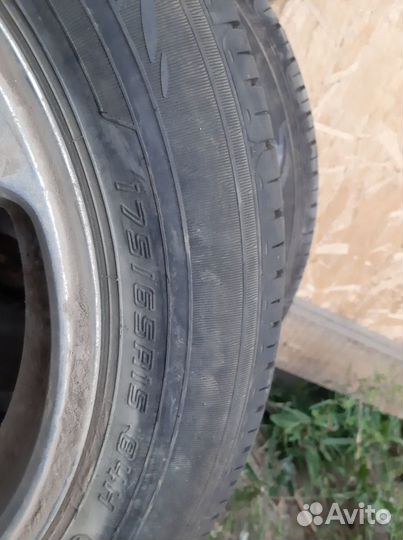 Dunlop All Season Maxx AS1 175/65 R15