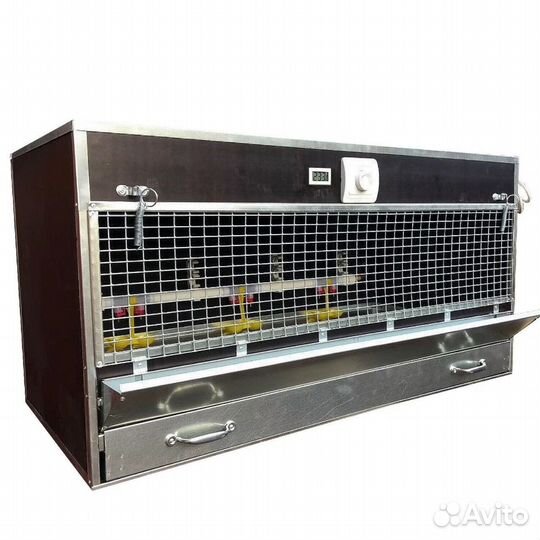 Брудер для цыплят